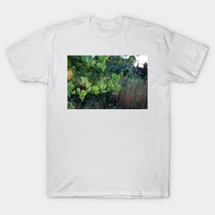 Twist and Turn - Climbing Plant in Summer T-Shirt